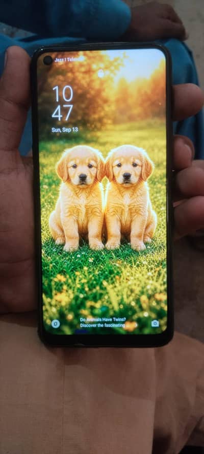 OPPO A54