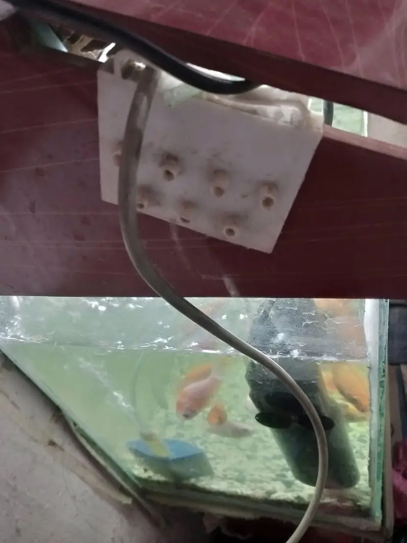 Aquarium — photo 4