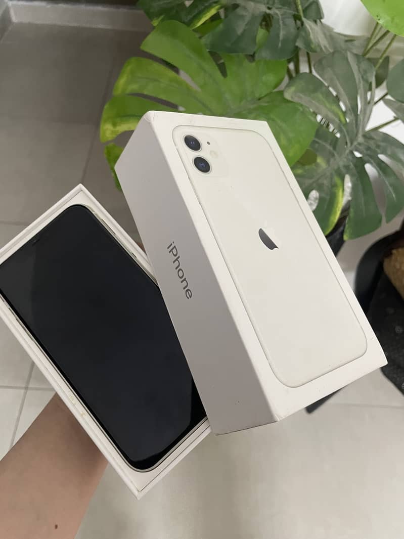 Apple iPhone 11 0