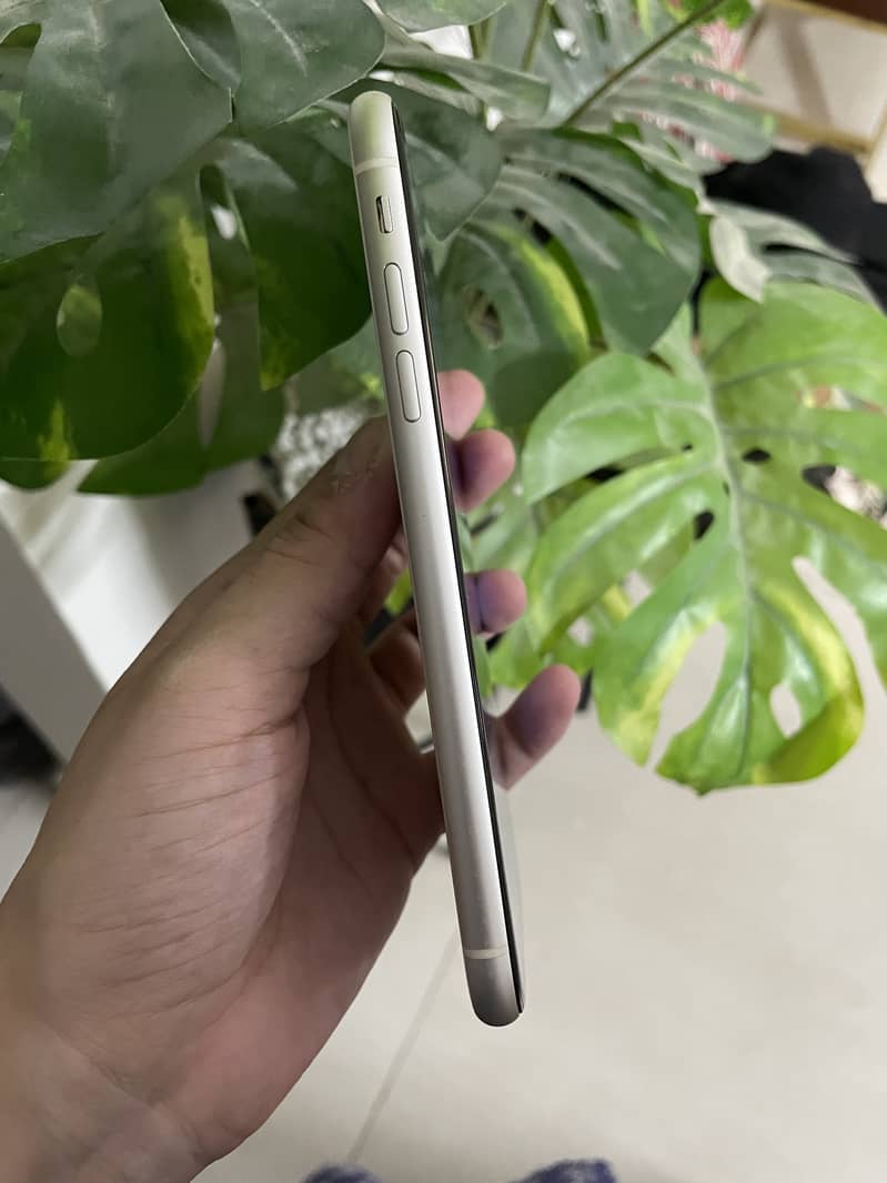 Apple iPhone 11 2