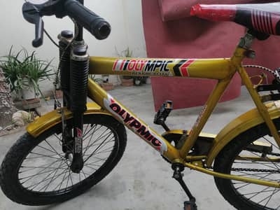 A beautiful bicycle