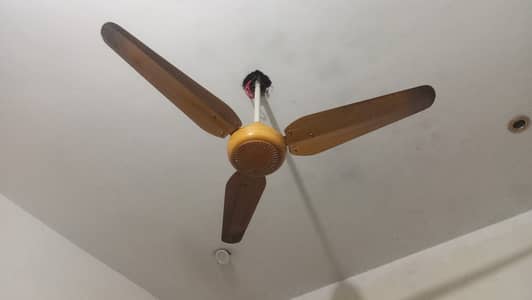 Pak Fans , about 2 years of use