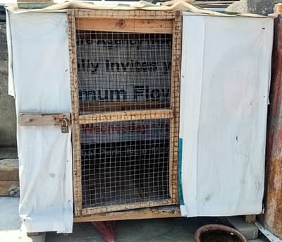 Cage Made By Solid Wood & Jali 0308-5000940