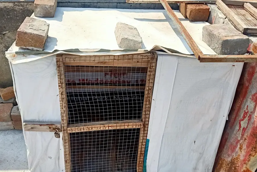 Cage Made By Solid Wood & Jali 0308-5000940 — photo 3