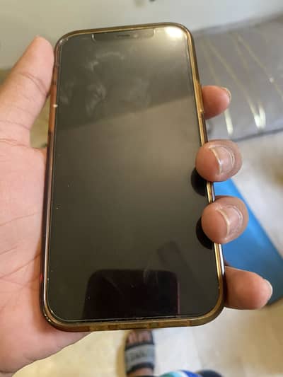 Apple iPhone 12 Pro
