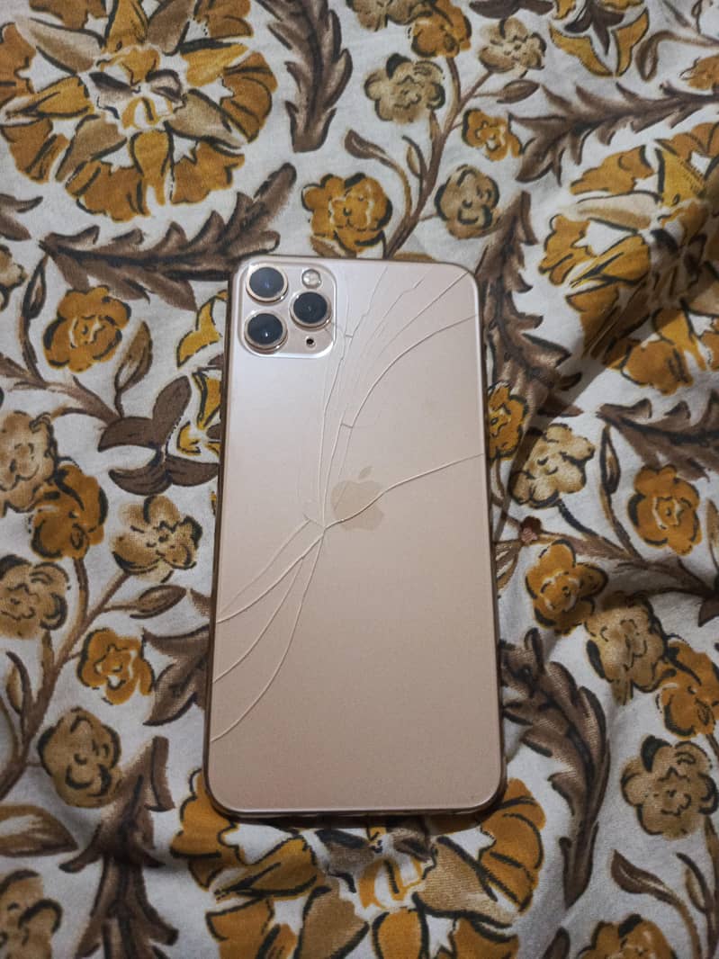 Apple iPhone 11 Pro Max 1
