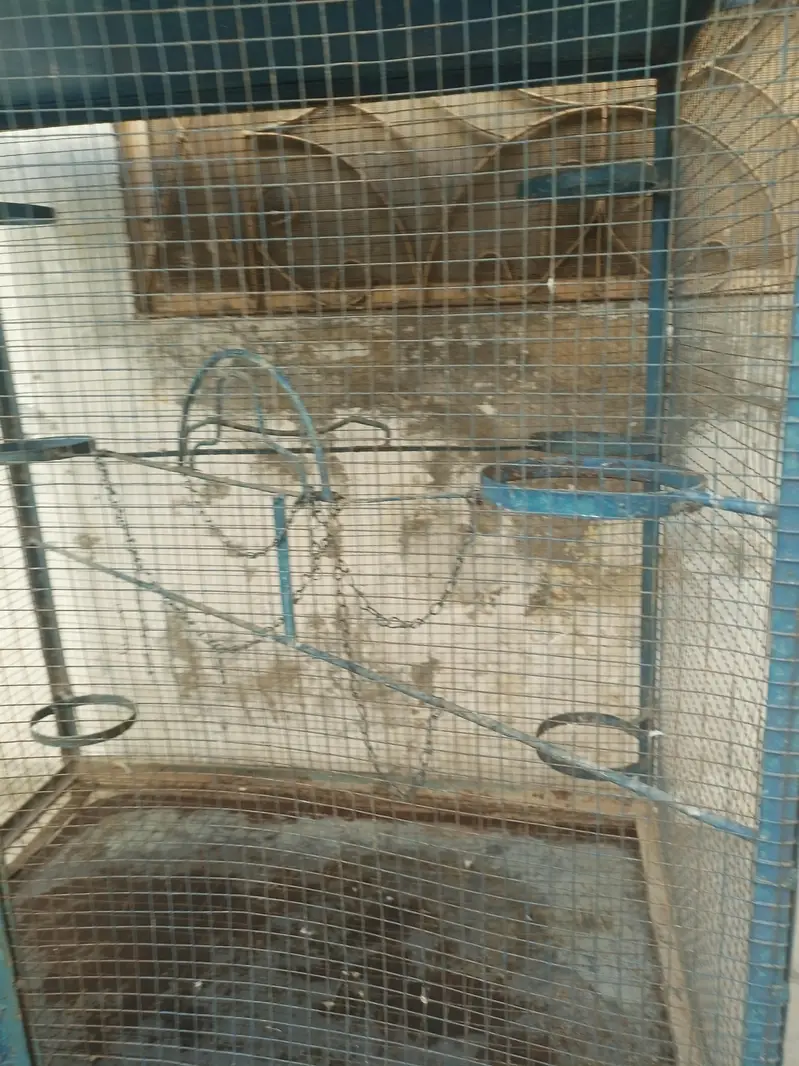 Birds Cage for sale — photo 3