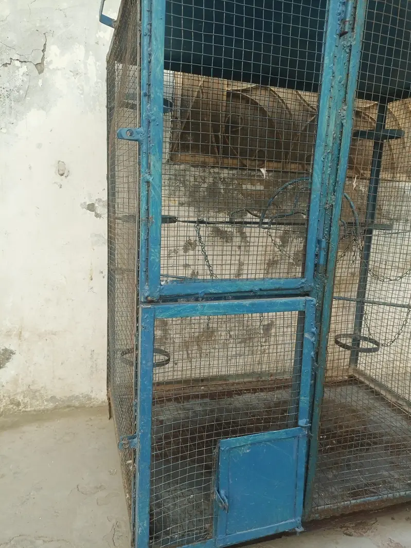Birds Cage for sale — photo 4