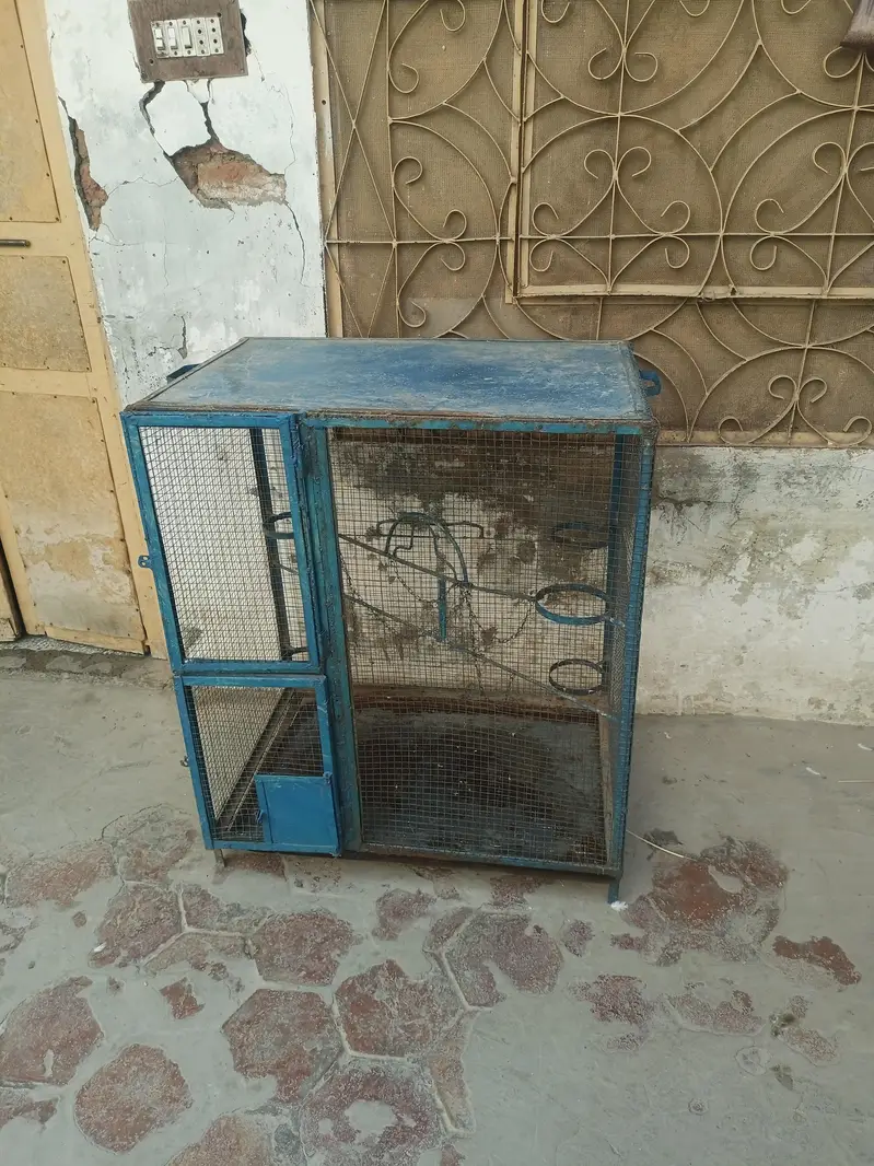 Birds Cage for sale — photo 5