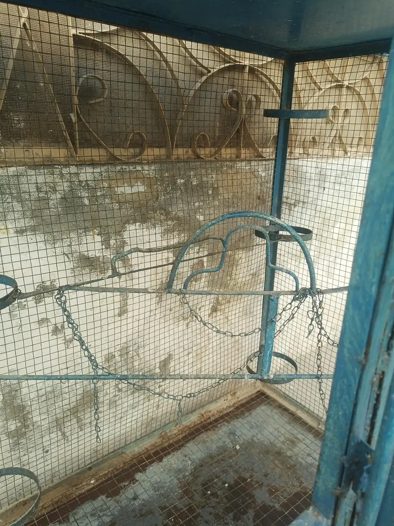 Birds Cage for sale — photo 6