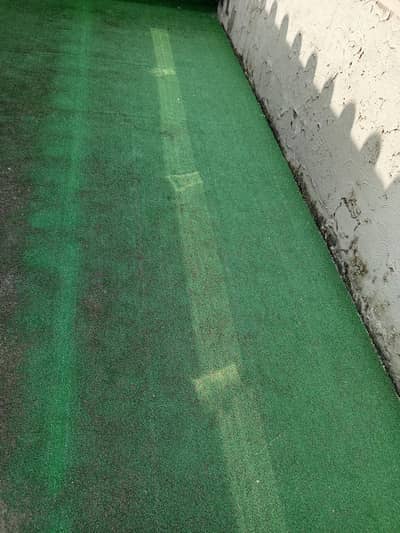 green carpet