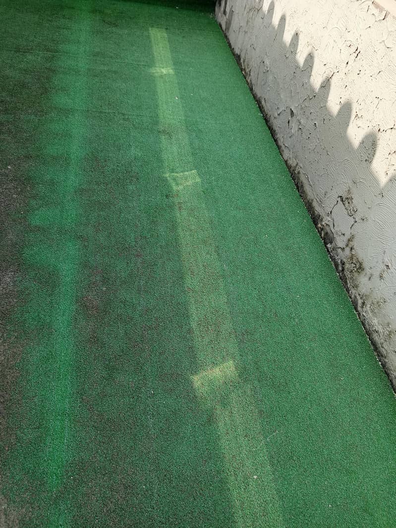 green carpet 0