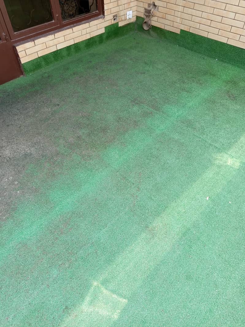 green carpet 1