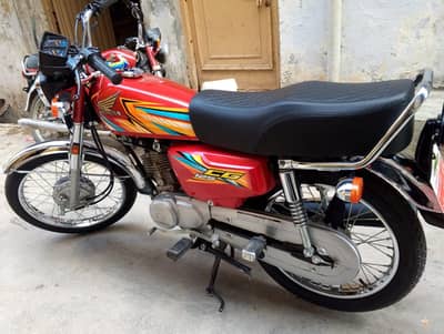 lush bike 03166035656