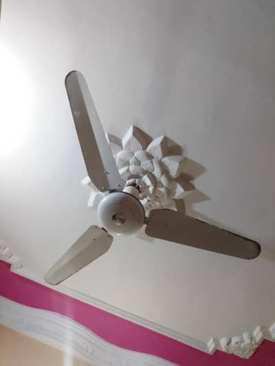 golden fan company