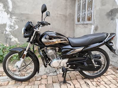 all punjab number 2020 model