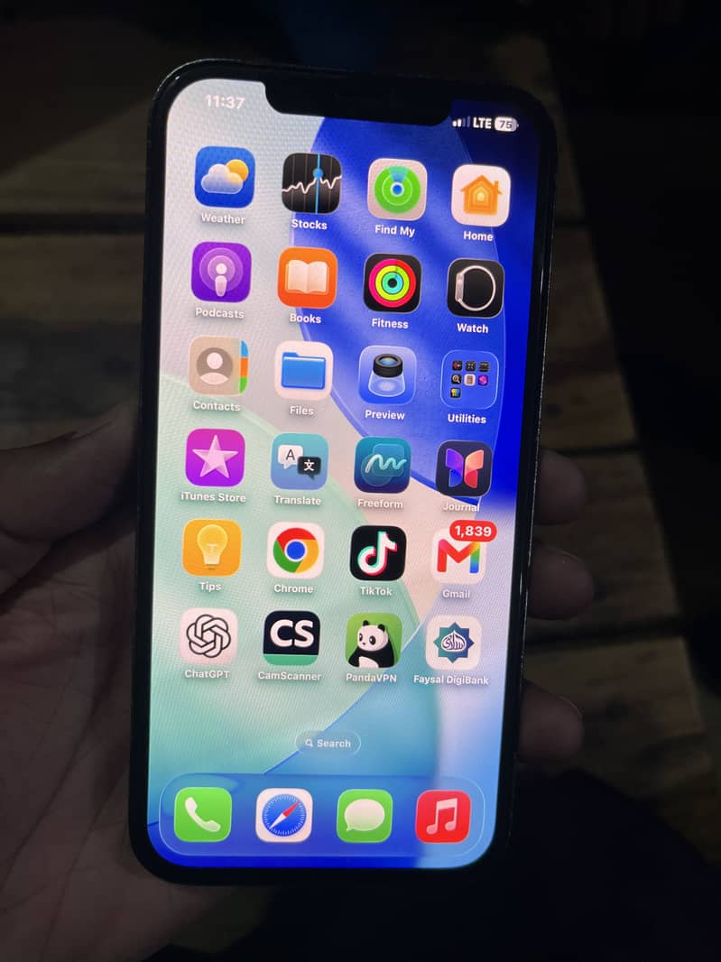 Apple iPhone 12 Pro Max 1