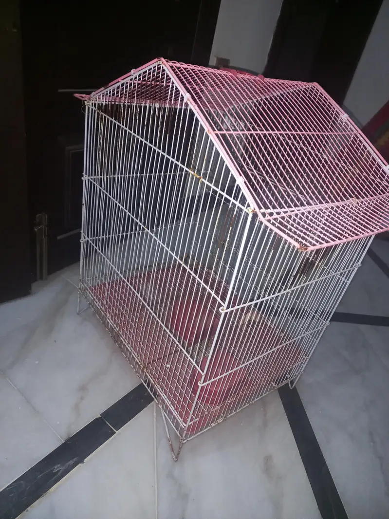cage (pinjra] for parrots : Rs. 1500 — photo 2