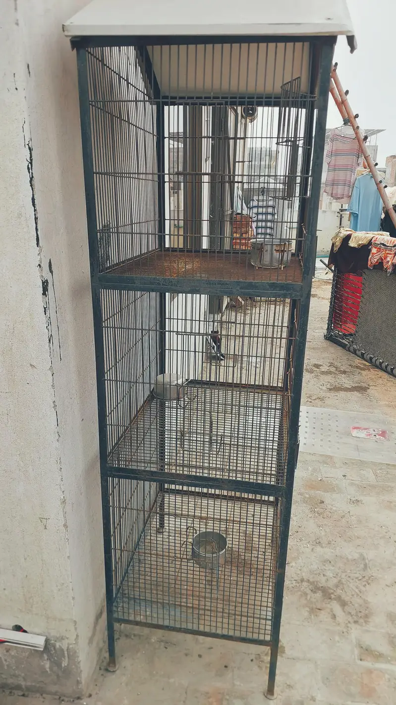 Cage for Parrot 2 x 1.5 x 1.5 ft — photo 2