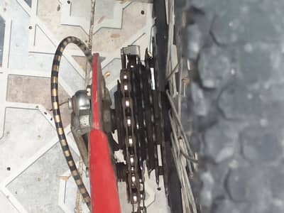 Sumac cycle for sale
