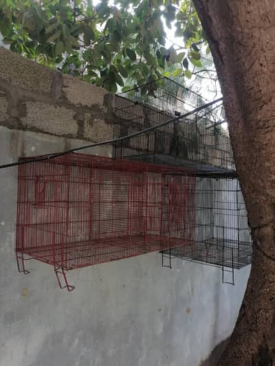 cages