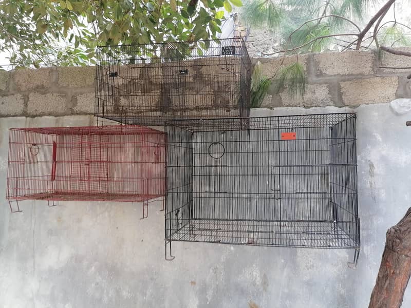 cages 1