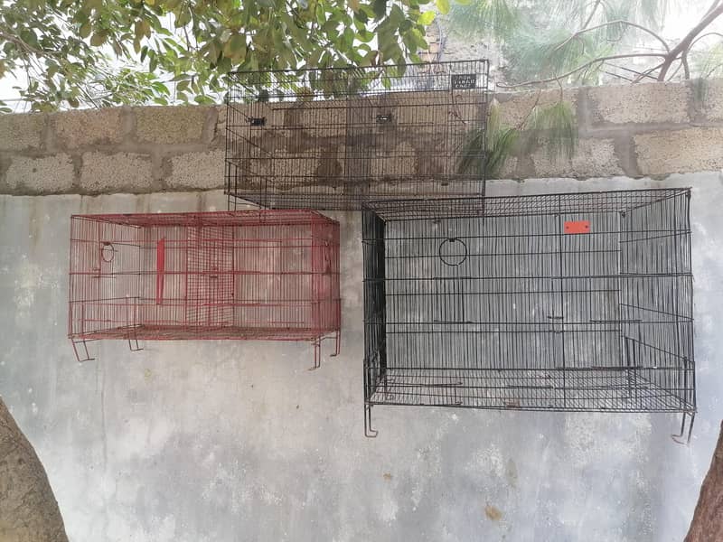 cages 2