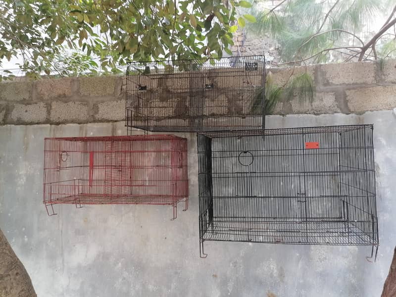 cages 3