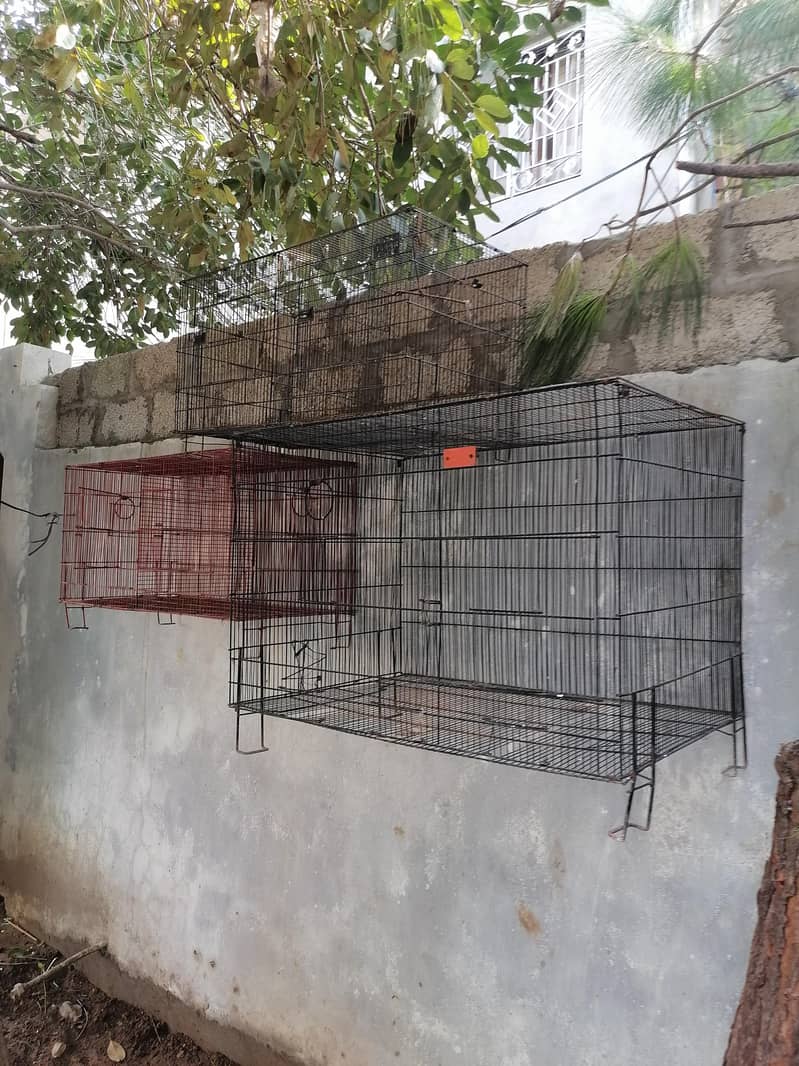 cages 4