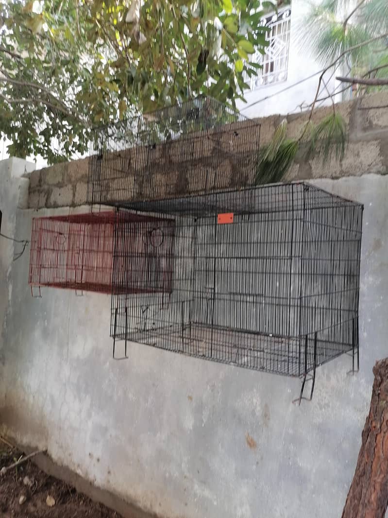 cages 5