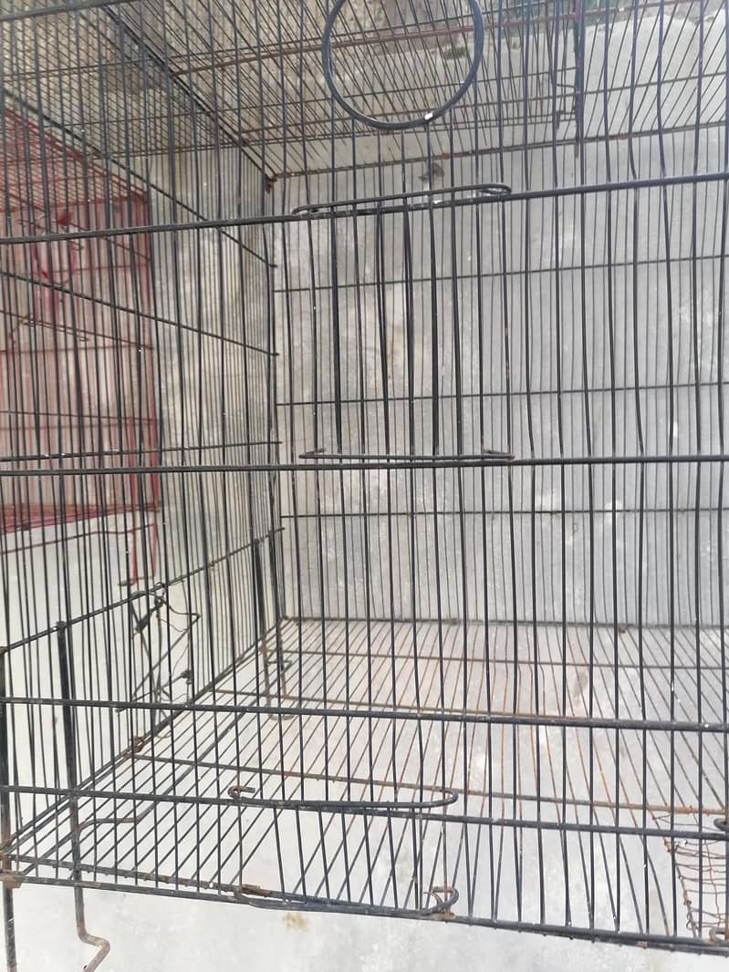 cages 6