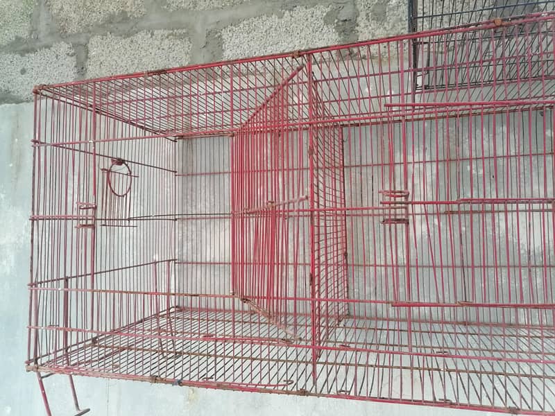 cages 7