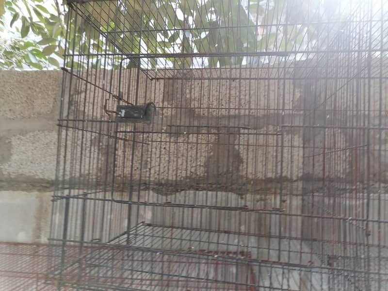 cages 8