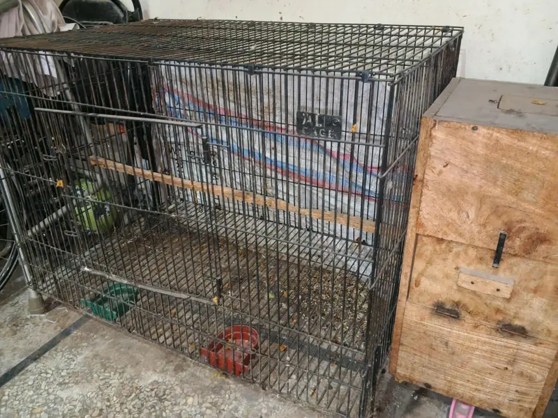 Cage With Attached Box — photo 3