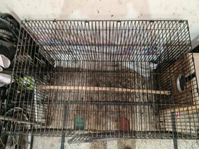Cage With Attached Box — photo 4