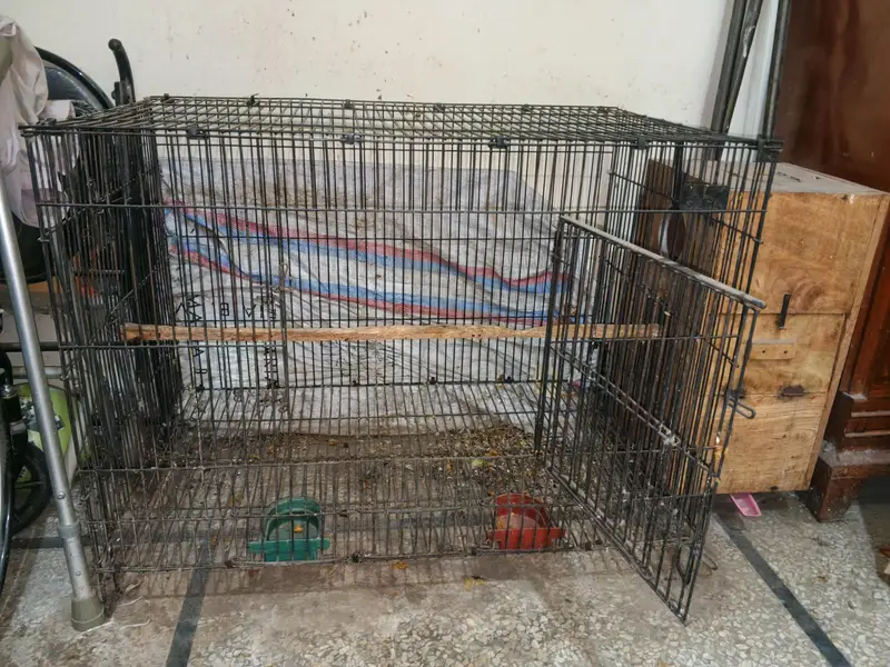 Cage With Attached Box — photo 5
