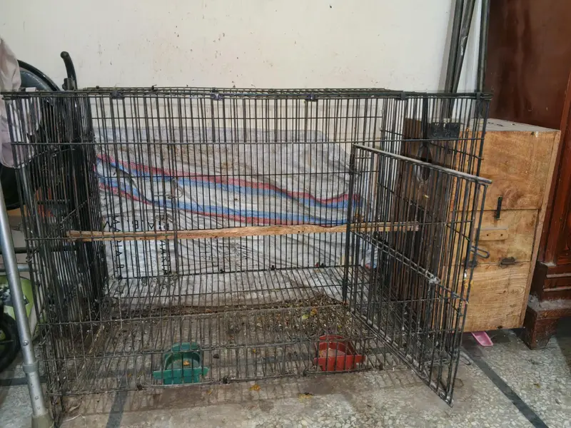 Cage With Attached Box — photo 6