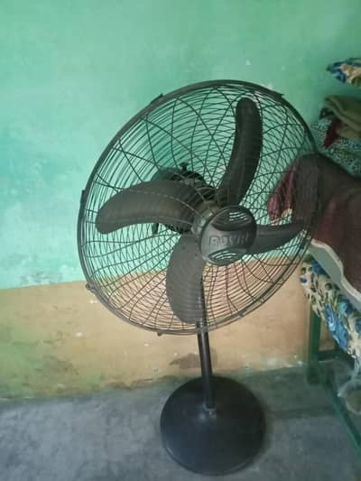 Royal Fan