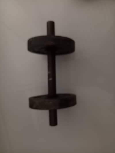 dumbells