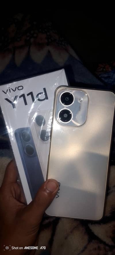 Vivoy11d