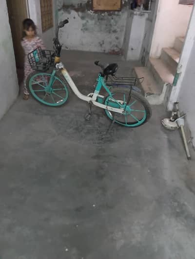 best cycle