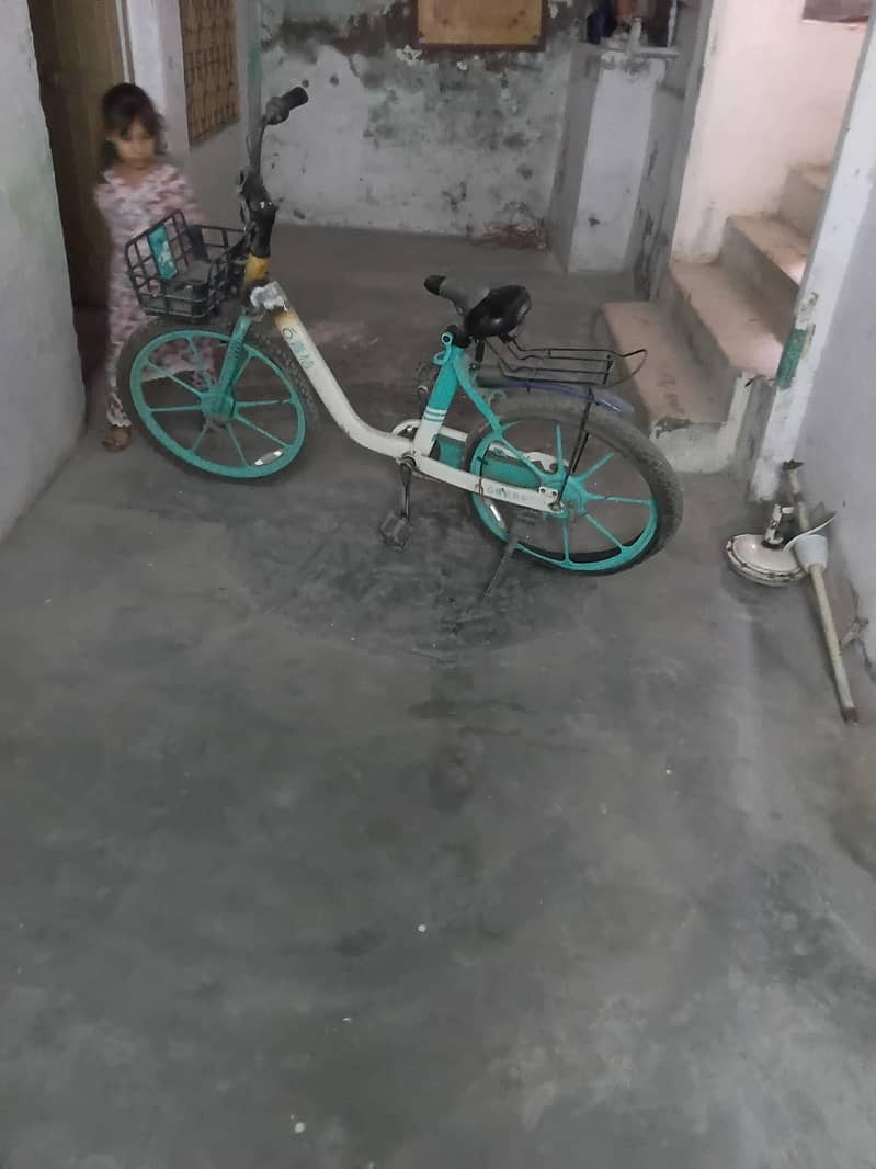best cycle 0