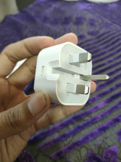 Apple iPhone charger