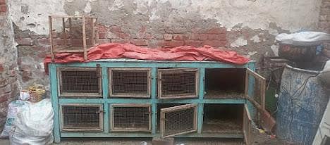 hen/birds cage