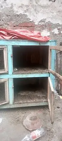 hen/birds cage — photo 2