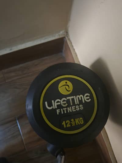12.5 kg dumbell