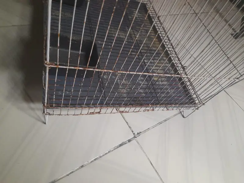 cage for sale — photo 3