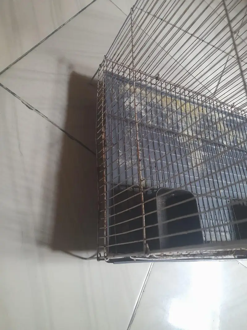 cage for sale — photo 4