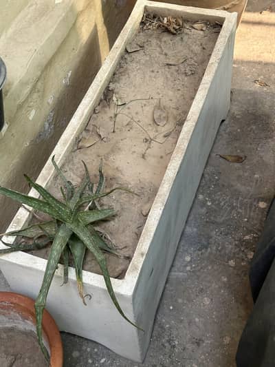 Pots in perfect condition for sale