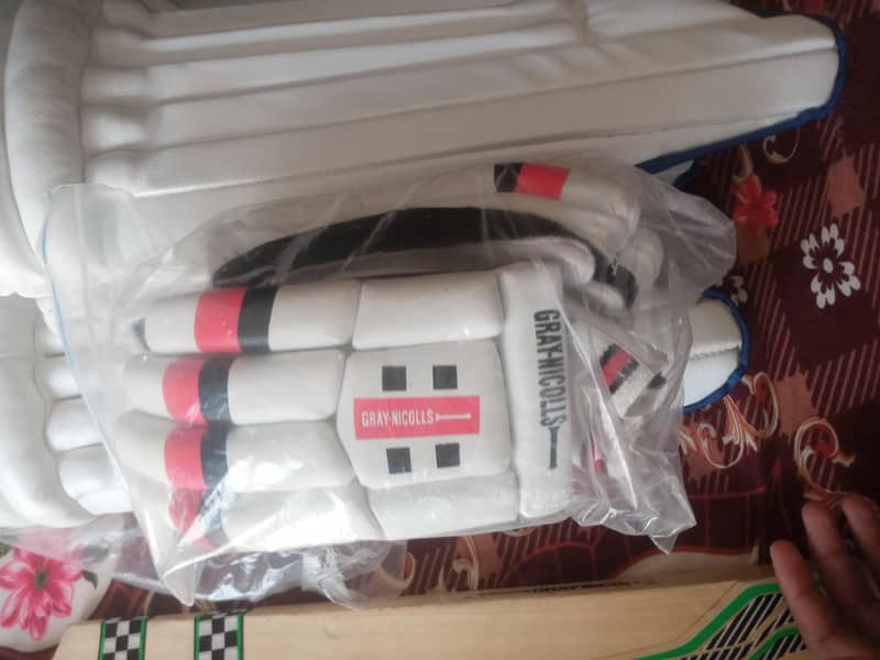 Cricket kit 12